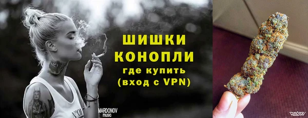 твердый Михайлов