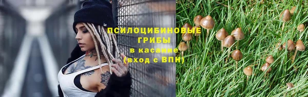 мяу мяу мука Михайловск