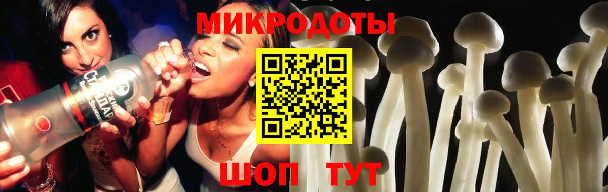 Чайковский  Галлюциногенные грибы Psilocybine cubensis  Вход с VPN 